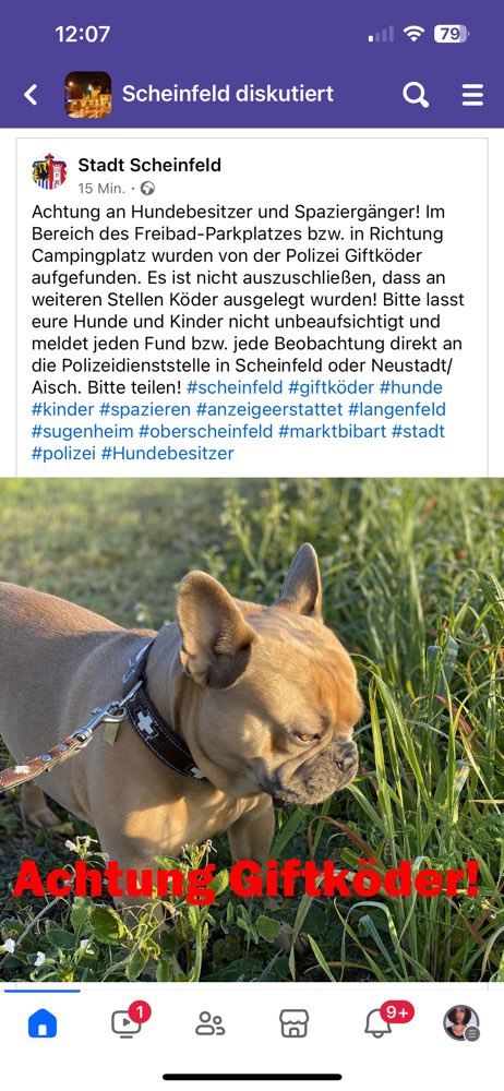 Giftköder-Giftköder-Profilbild