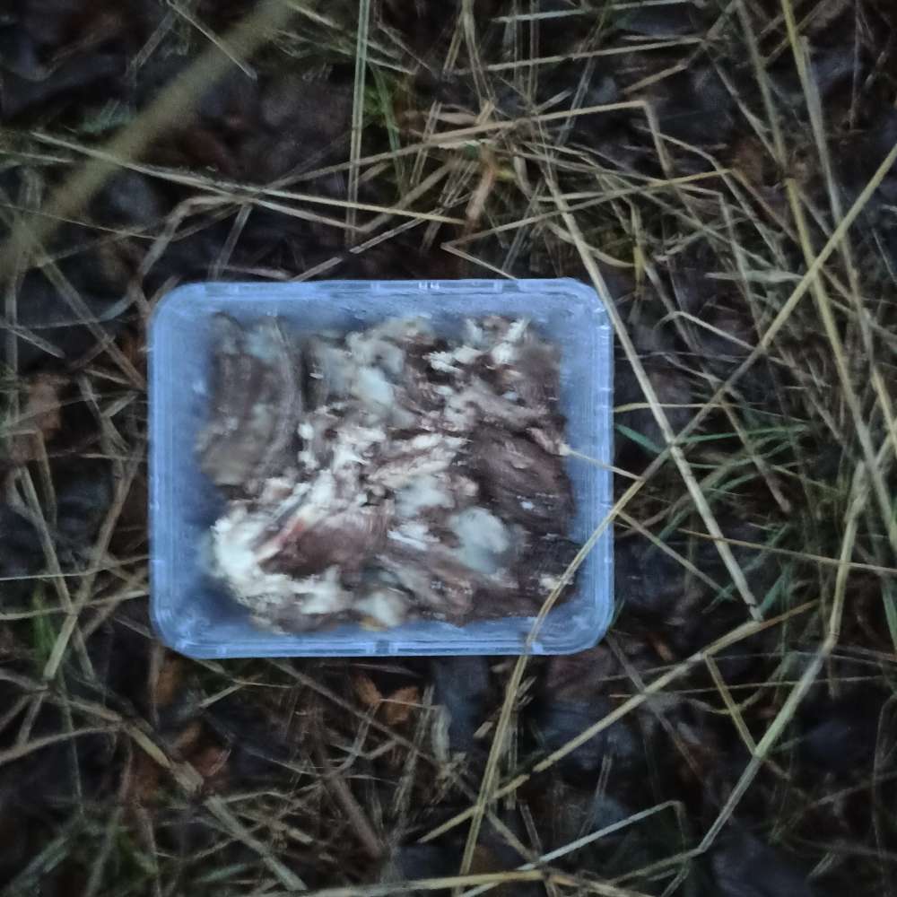 Giftköder-Bestätigte Giftköder-Profilbild