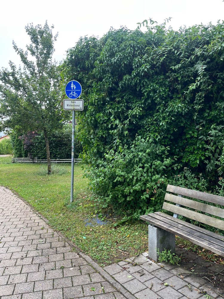 Giftköder-Mögliches Rattengift-Profilbild