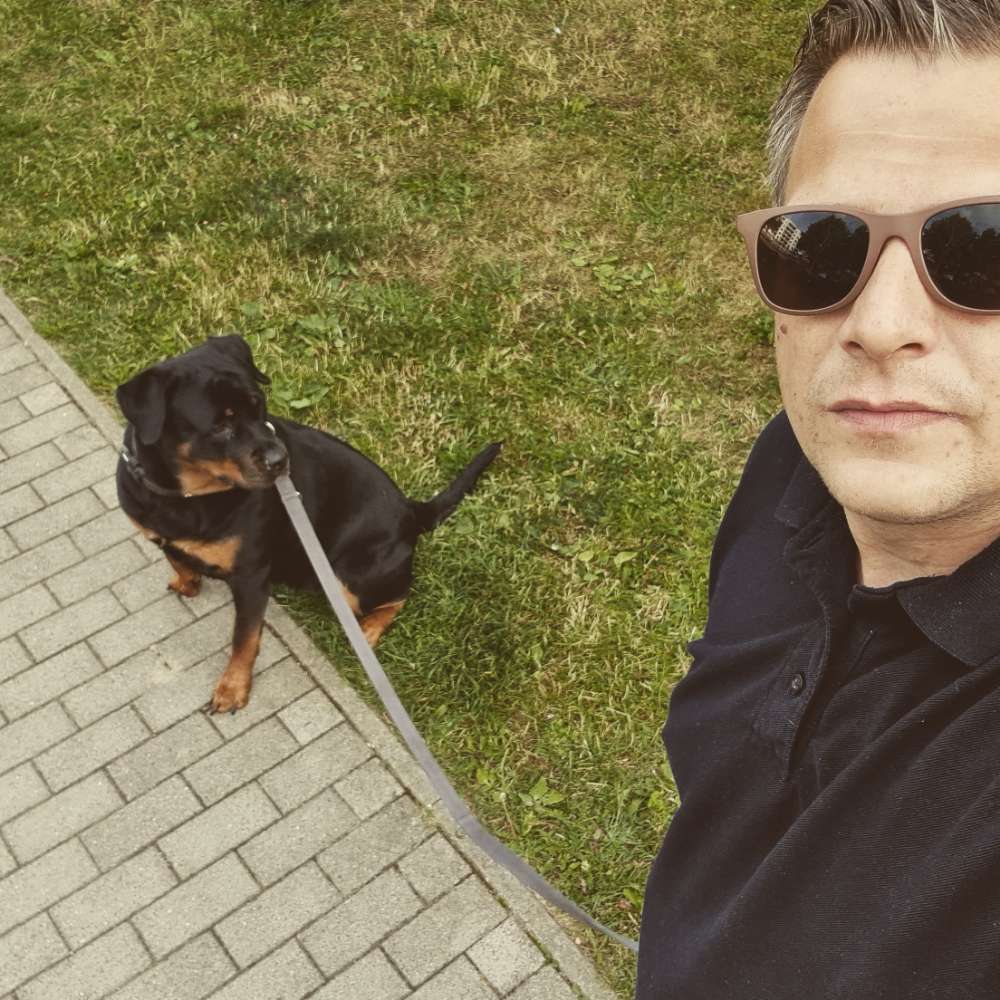 Hundetreffen-Spontane Gassirunden mit groß und klein solange die Sympathie stimmt-Profilbild