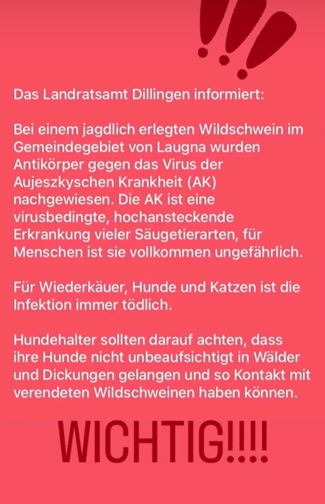 Giftköder-Aujeszkysche Krankheit im Landkreis DLG-Profilbild