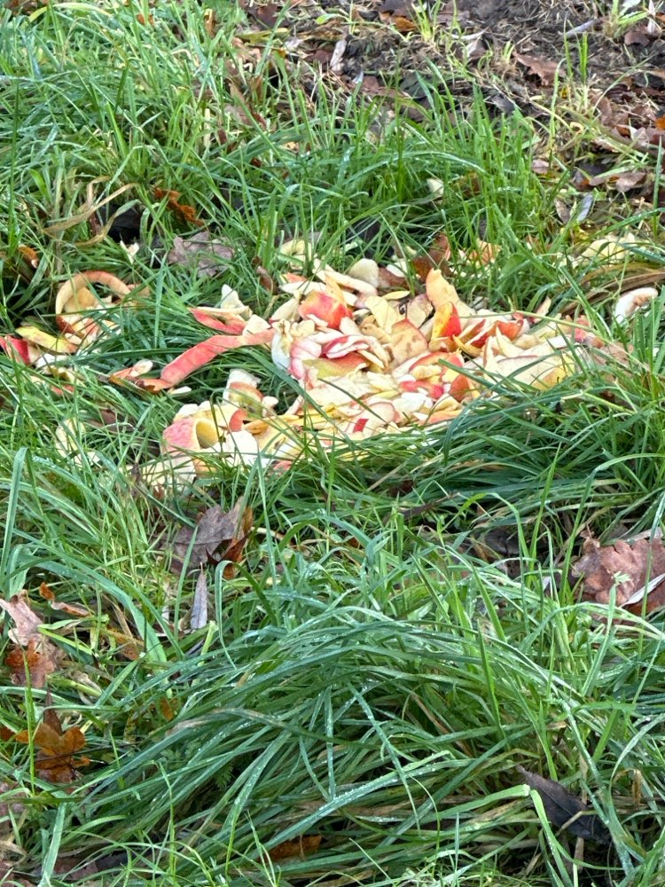 Giftköder-Evtl. Giftköder-Profilbild