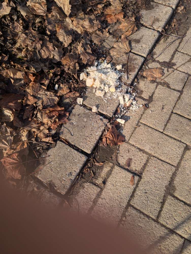 Giftköder-Mgl. Giftköder-Profilbild