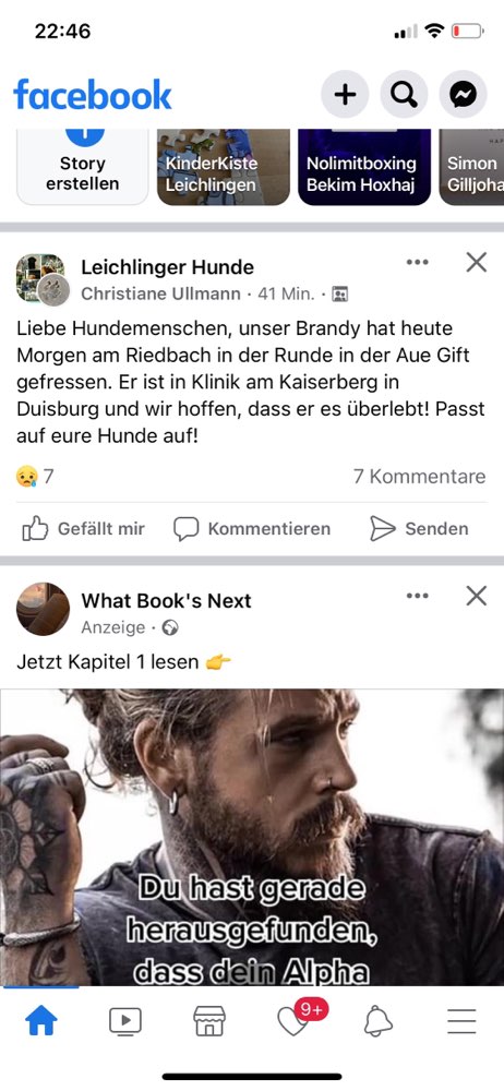 Giftköder-Gift-Profilbild