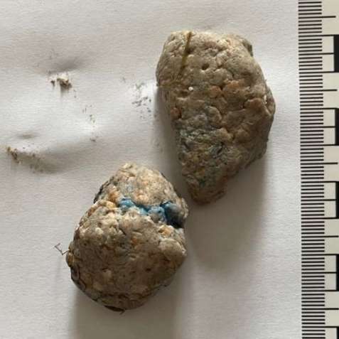 Giftköder-Giftköder! (Hackfleisch +Gift)-Profilbild