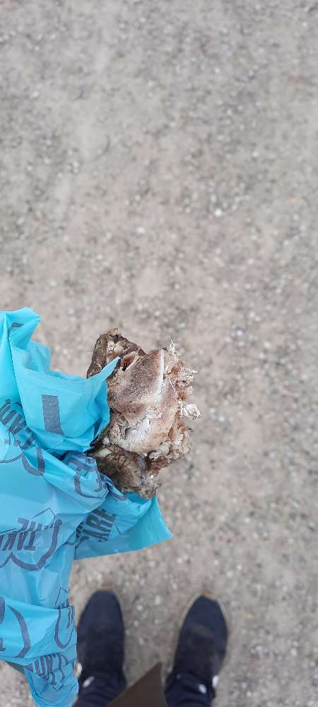 Giftköder-Achtung! evtl. Giftköder an der Paar-Profilbild