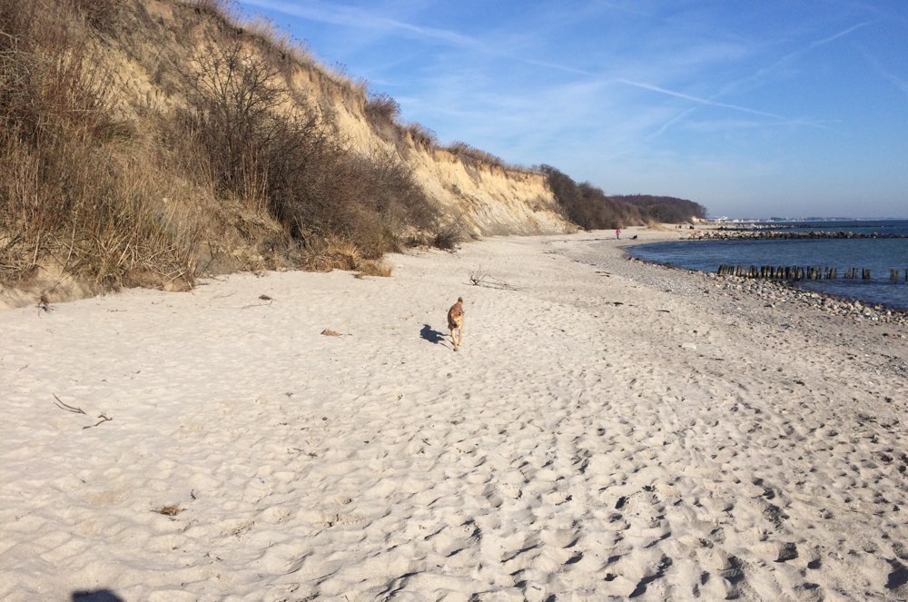 Hundeauslaufgebiete in 23746 Kellenhusen Dogorama App