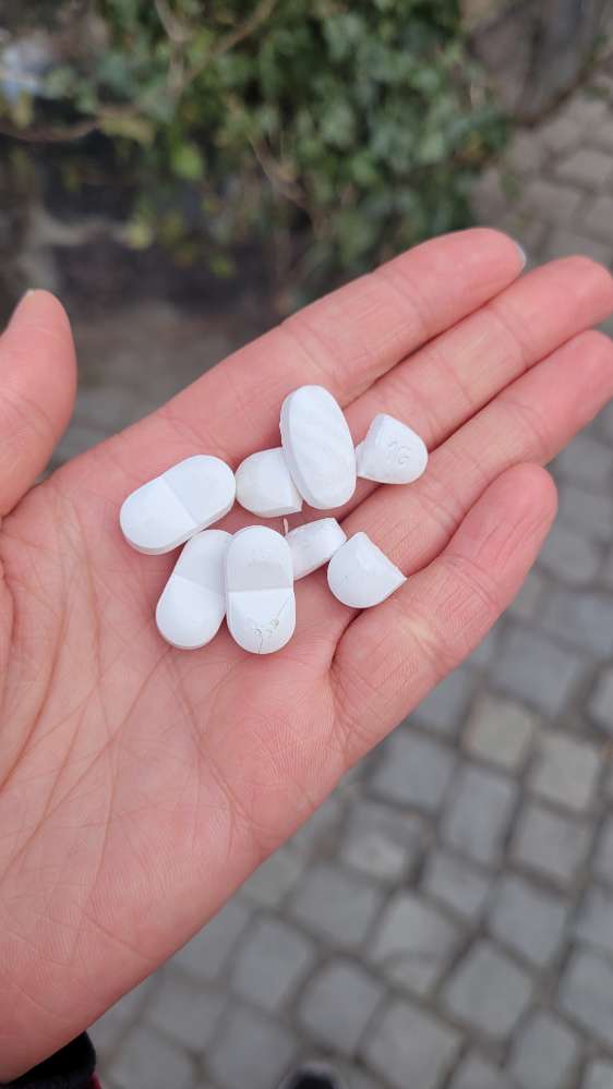 Giftköder-Tabletten ausgelegt !!!!!! Weißensee-Profilbild