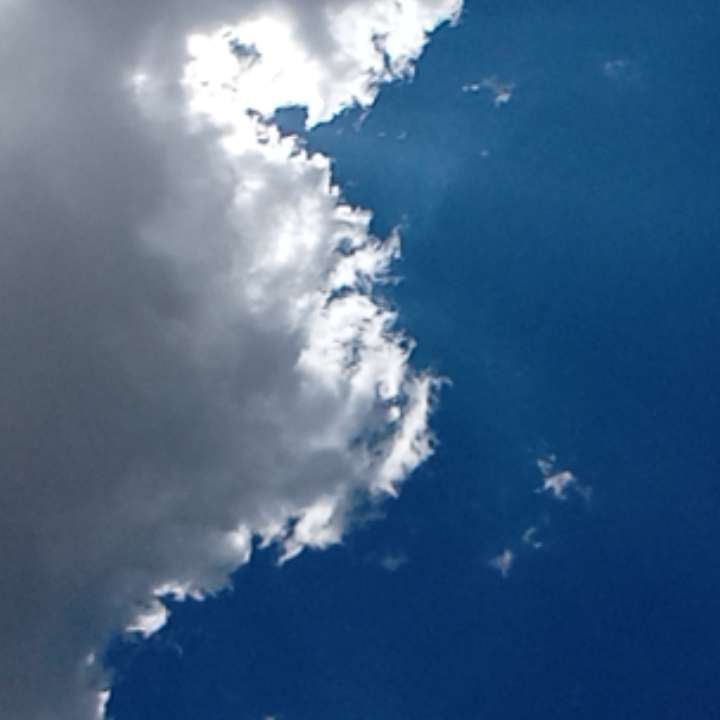 Hundetreffen-Gassi-Spieltreffen in Hockenheim bei der Rathausstraße 2 Hockenheim-Profilbild