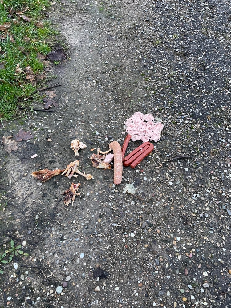 Giftköder-Möglicherweise Giftköder-Profilbild