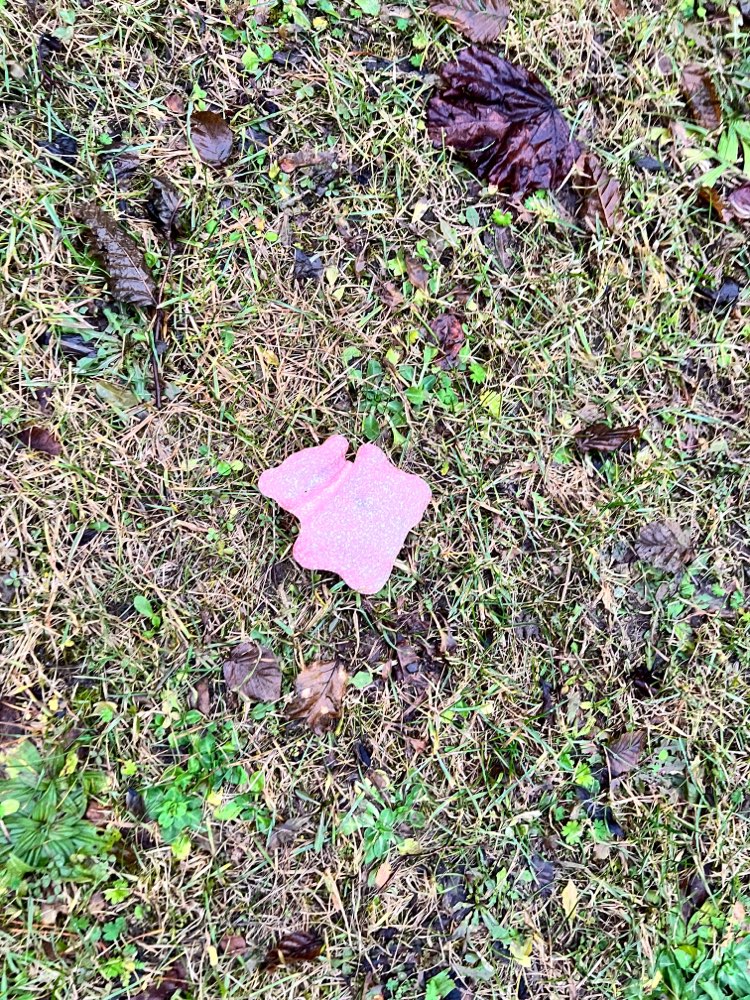 Giftköder-Ausgelegte Wurst- und Essenreste-Profilbild