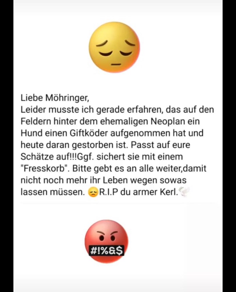 Giftköder-Giftköder-Profilbild