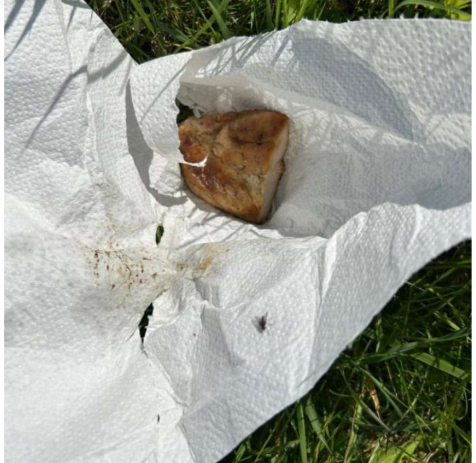 Giftköder-Giftköder-Profilbild