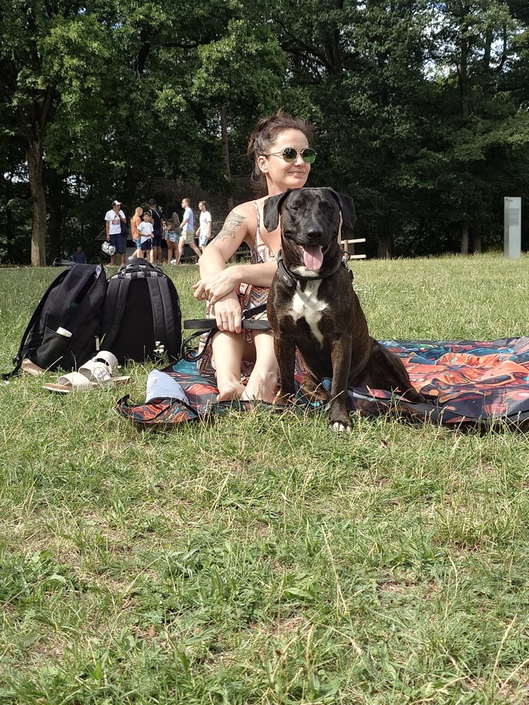Hundetreffen-Spieletreffen und gassirunden-Profilbild