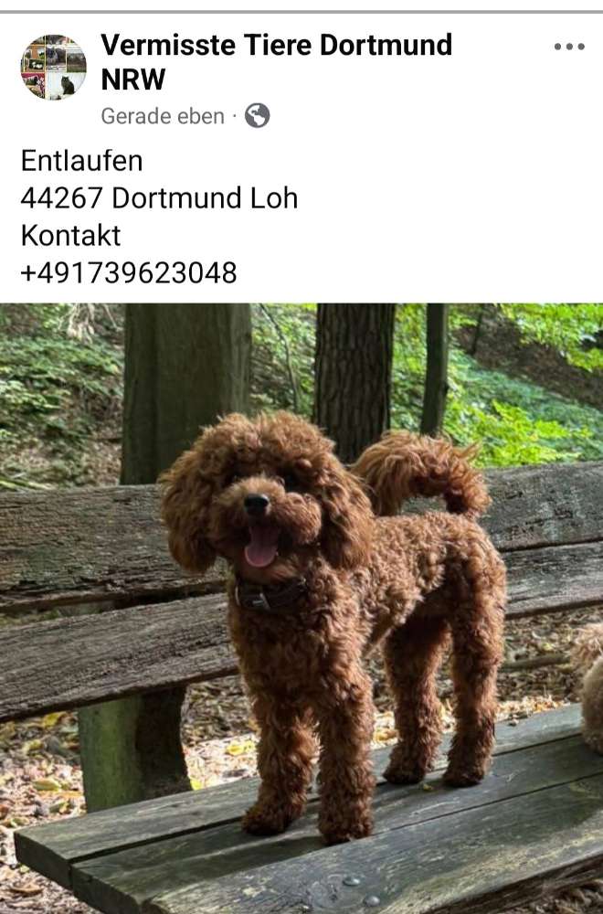 Suchmeldung-Anouk-Profilbild