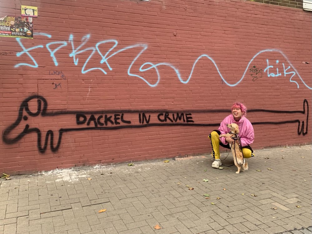 Hundetreffen-Hundefriend gesucht-Profilbild