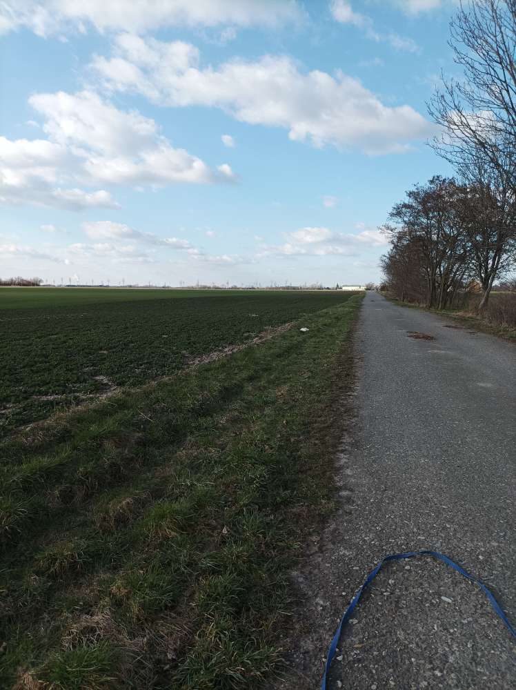 Giftköder-Tierkadaver-Profilbild