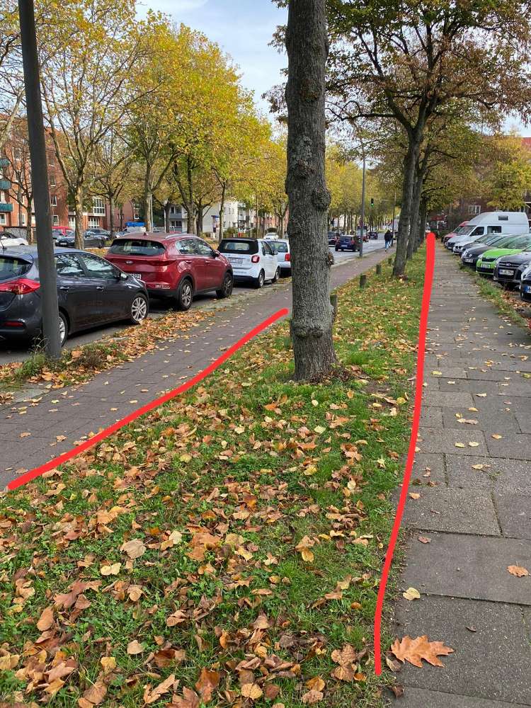 Giftköder-Gehacktes in Laub gedrückt.-Profilbild