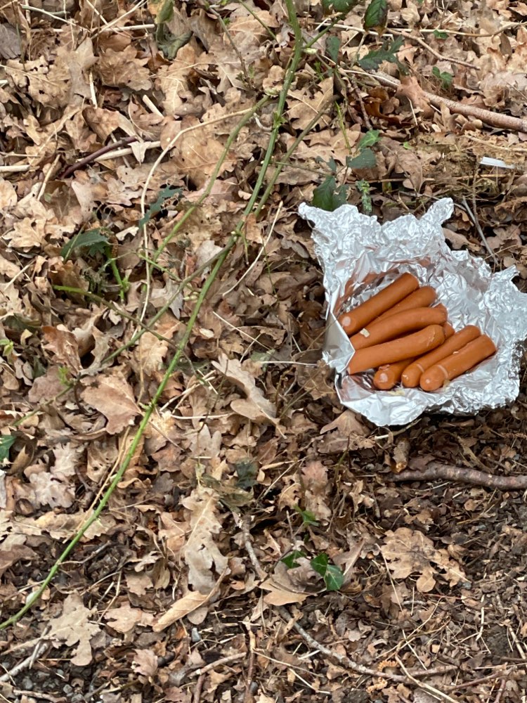 Giftköder-Würstchenreste verstreut-Profilbild