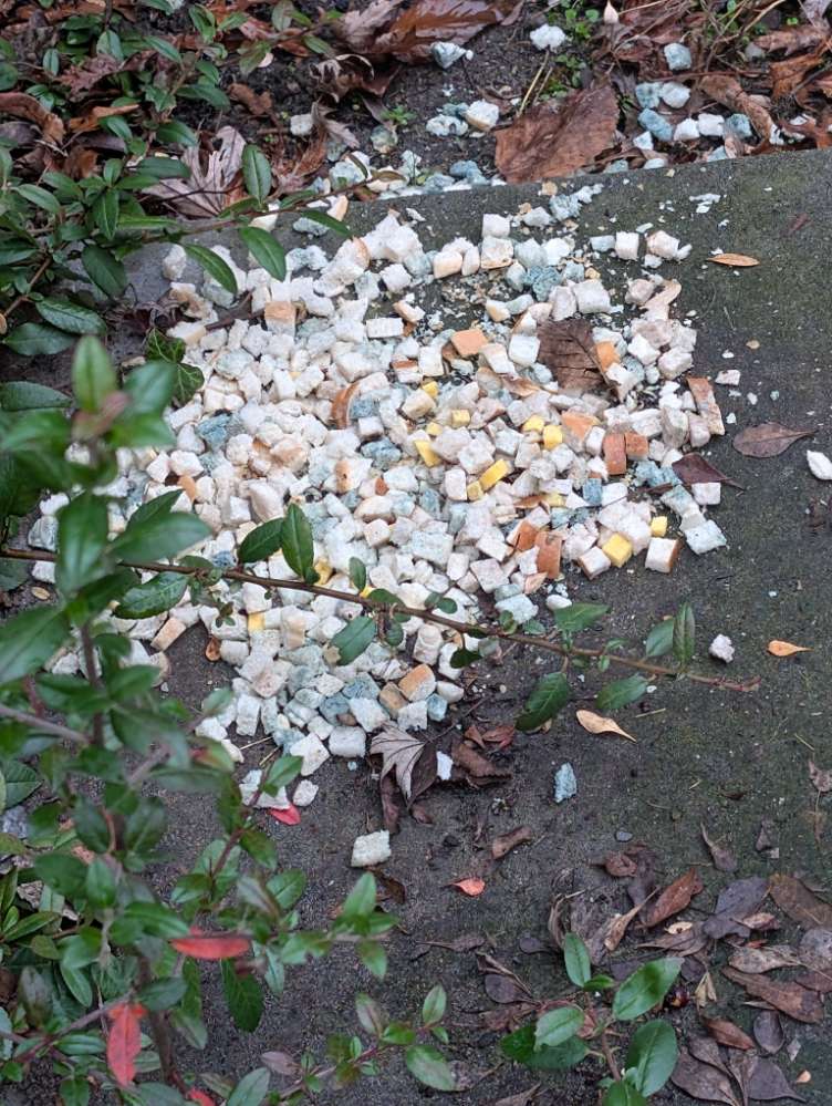 Giftköder-Evtl. Giftköder-Profilbild