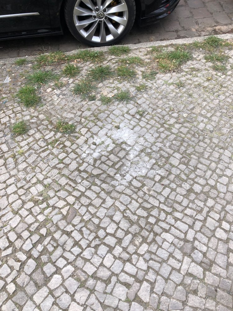 Giftköder-Weißes Pulver auf dem Gehweg-Profilbild