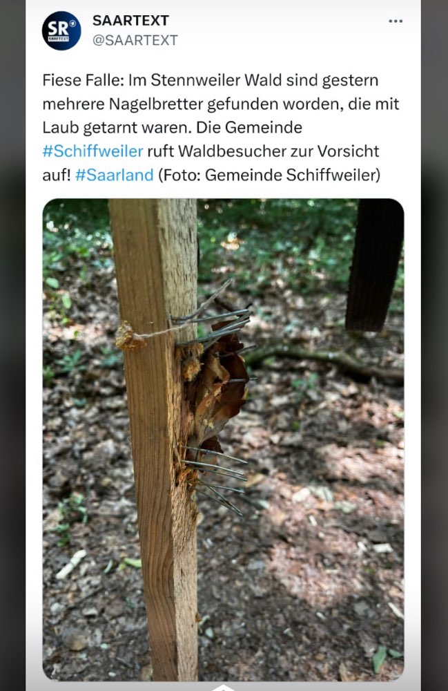 Giftköder-Getarnte Nagelbretter im Wald-Profilbild