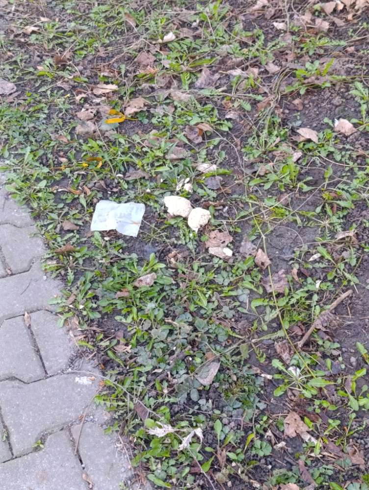 Giftköder-Vermutlich Giftköder-Profilbild