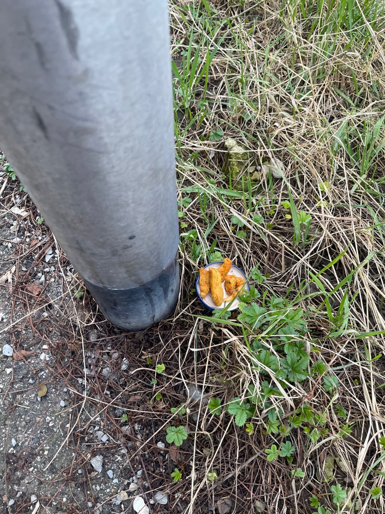 Giftköder-Giftköder-Profilbild