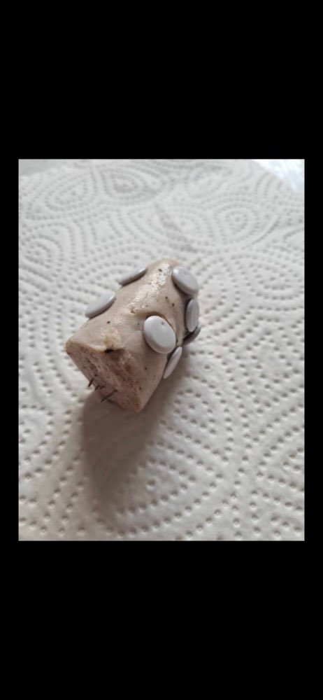 Giftköder-Wurst mit Reißzwecken-Profilbild