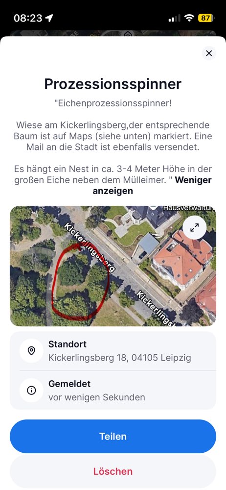 Giftköder-Eichenprozessionsspinner-Profilbild