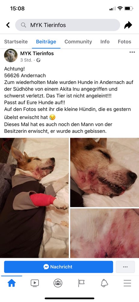 Giftköder-Aggressiver Hund // mehrfache Vorfälle-Profilbild