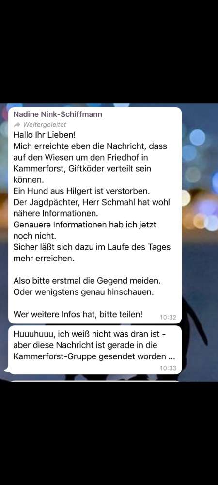 Giftköder-Giftköder-Profilbild