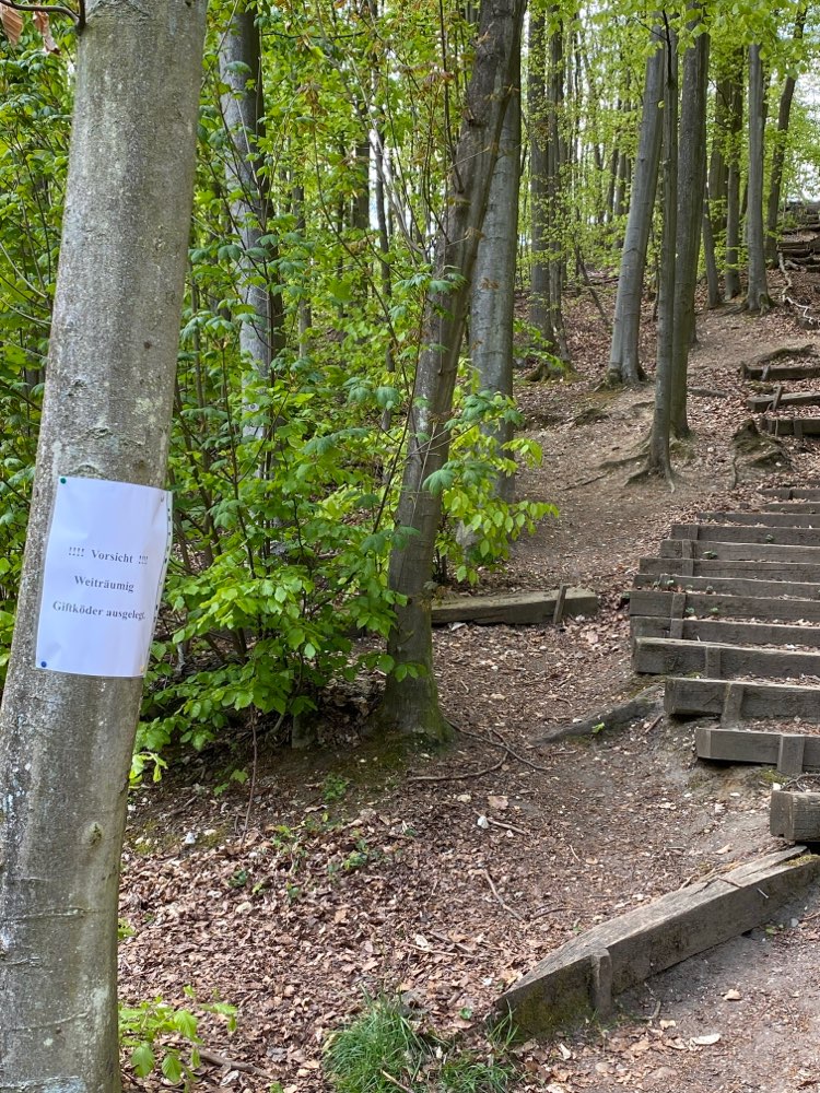 Giftköder-Weiträumig Giftköder ausgelegt-Profilbild