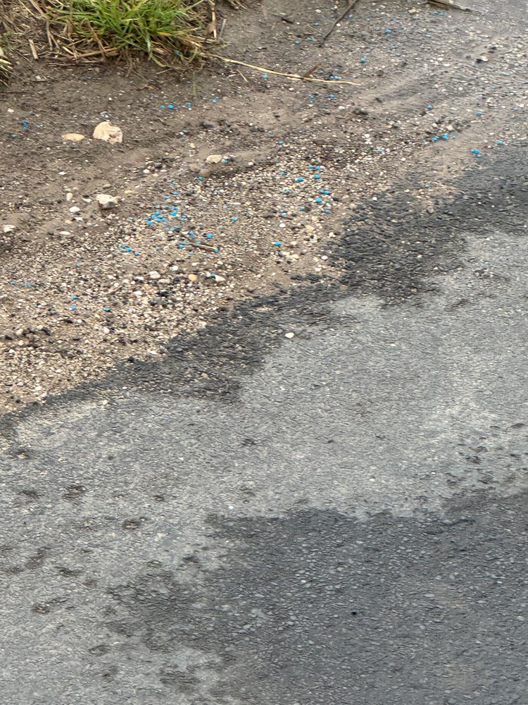 Giftköder-Gift ?-Profilbild