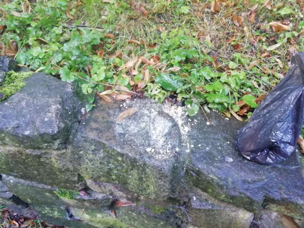 Giftköder-Futter - evtl Giftköder-Profilbild