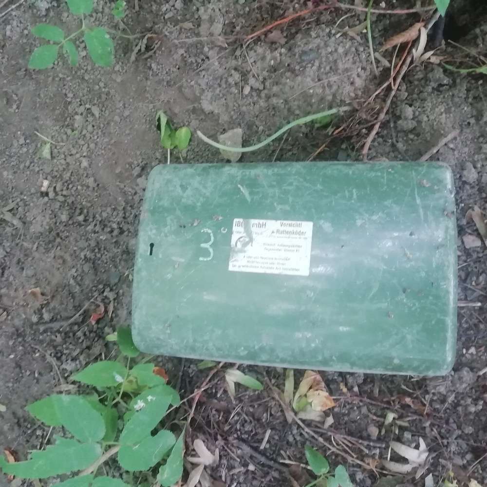 Giftköder-Rattenköder-Profilbild