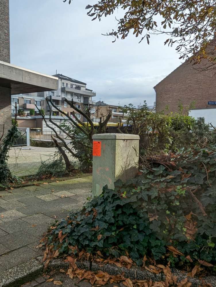 Giftköder-Rattengift-Profilbild