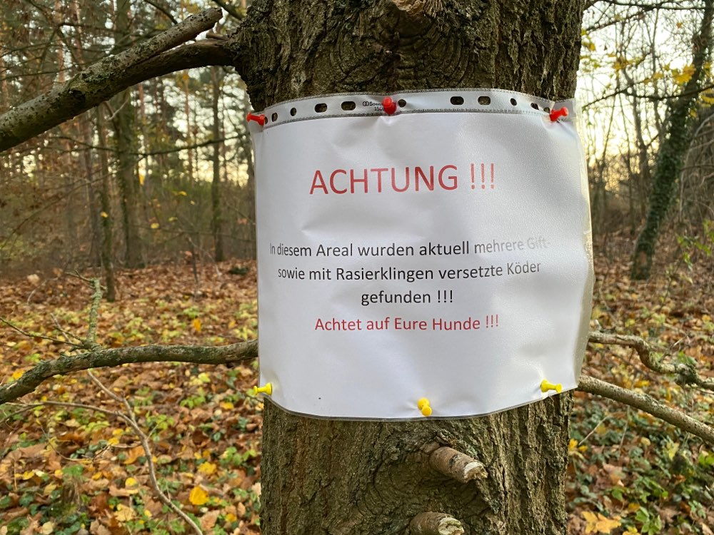 Giftköder-Giftköder und Köder mit Rasierklingen-Profilbild