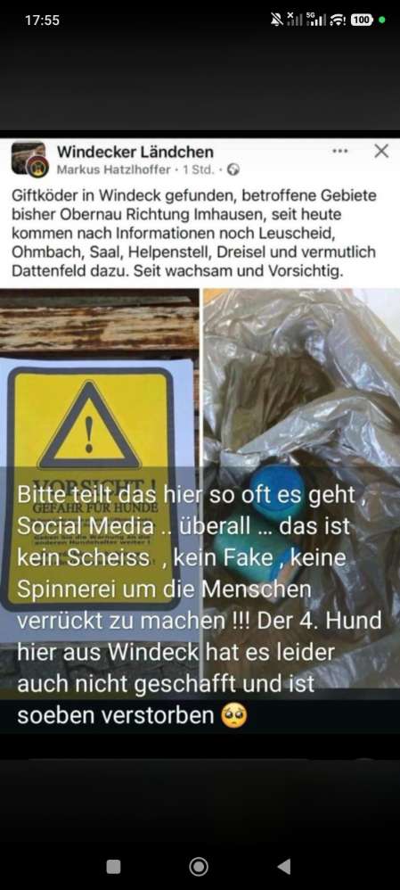 Giftköder-Giftköder in und im Windeck-Profilbild