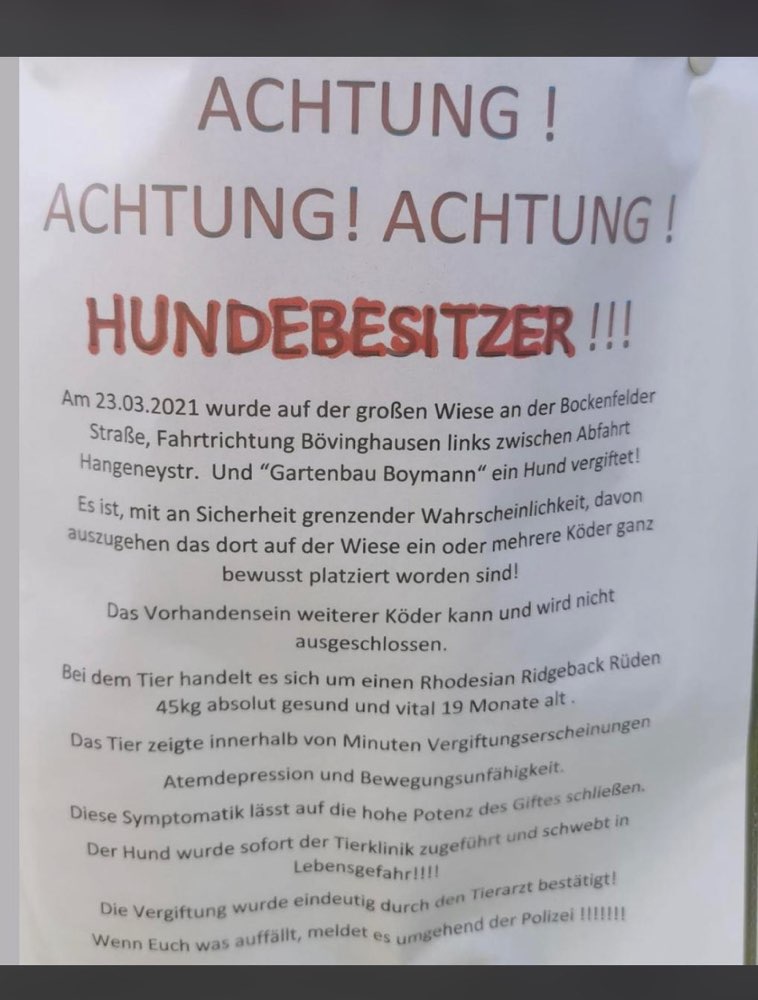 Giftköder-Gift!-Profilbild