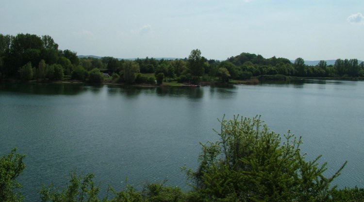 Hundetreffen-Spieltreffen am Giftener See-Profilbild