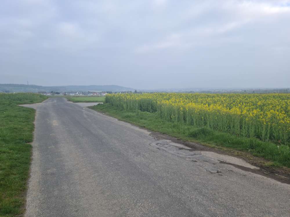 Giftköder-Verschimmeltes Brot mit Käse und Wurst-Profilbild