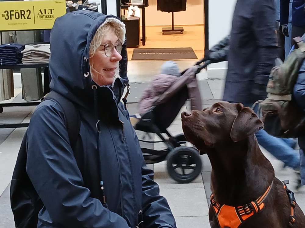 Hundetreffen-Lenni sucht Spielkameraden-Profilbild
