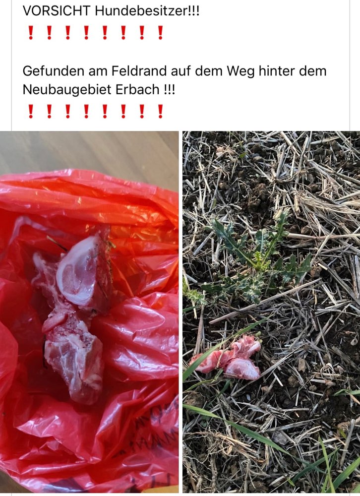 Giftköder-Giftköder-Profilbild