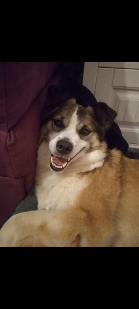 Suchmeldung-Zuma-Profilbild