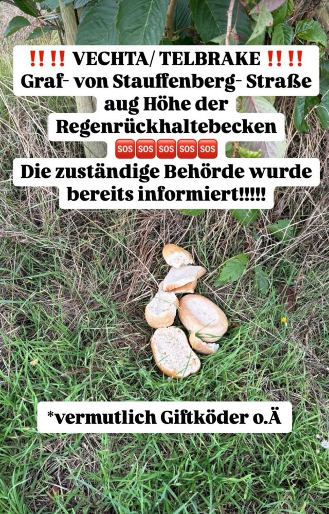 Giftköder-Vermutlich Giftköder-Profilbild