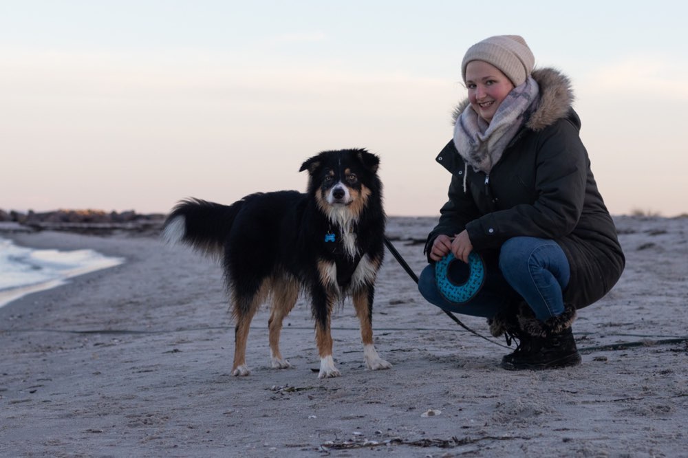 Hundetreffen-Gassi-Runde als kleine Trainingseinheit-Profilbild