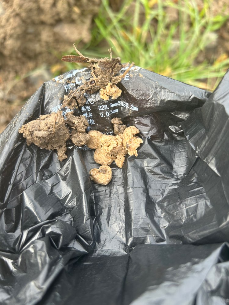 Giftköder-Futter versteckt-Profilbild