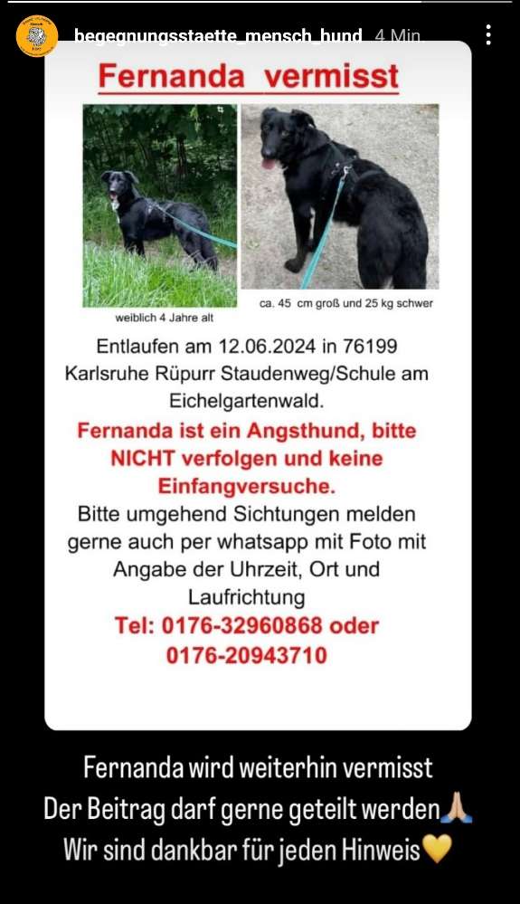 Suchmeldung-Fernanda-Profilbild