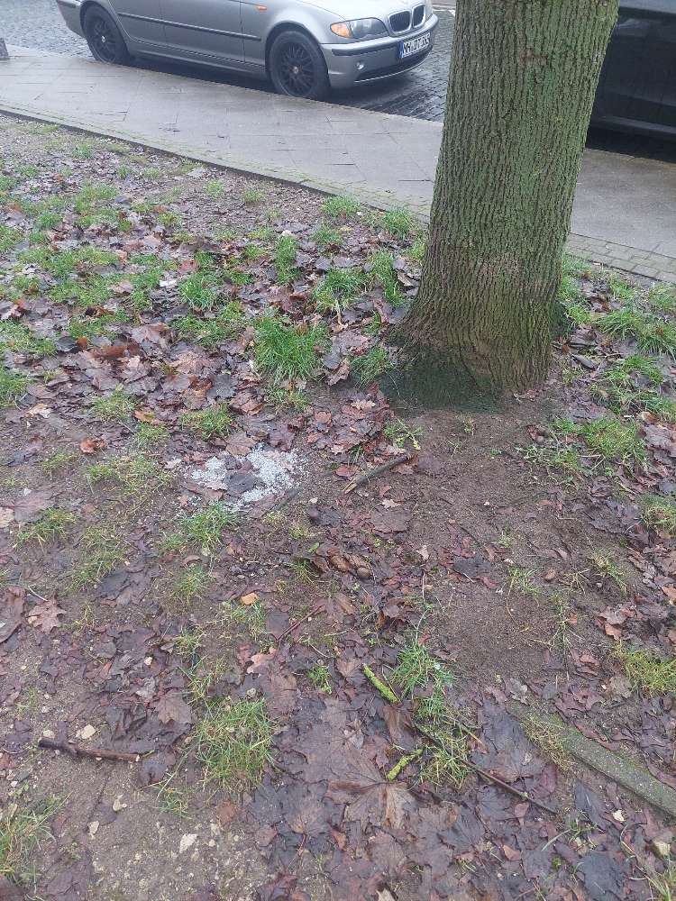 Giftköder-Schneckenkorn/Rattengift/verdächtiges Gr-Profilbild